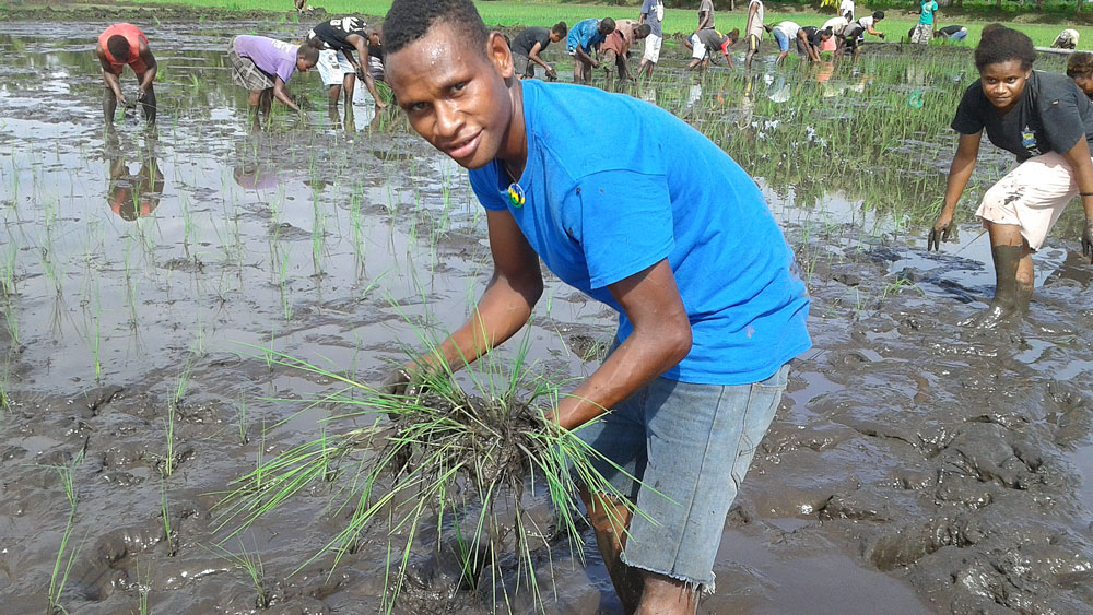 Second Chances in Solomons